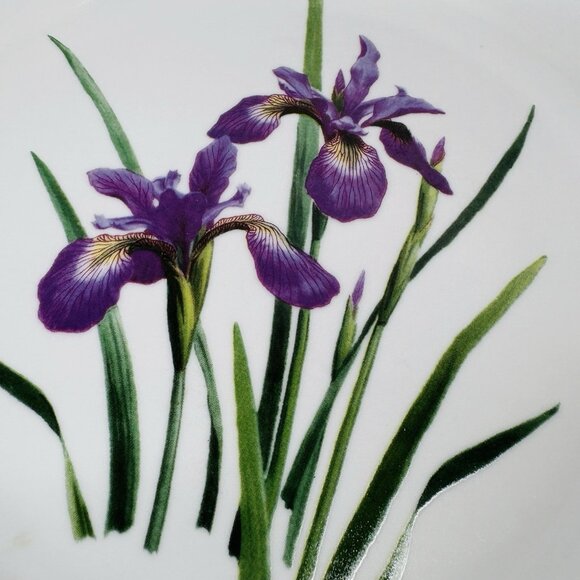 National Wildlife Federation AMERICAN WILDFLOWERS Flower Dinner Plates Set of 3 - Picture 12 of 16